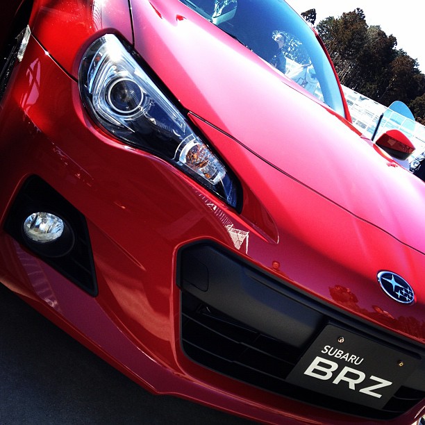 Name:  red-brz-2.jpg
Views: 18900
Size:  101.8 KB