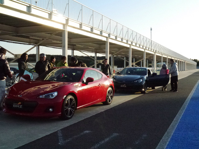 Name:  red-brz-5.jpg
Views: 18380
Size:  129.3 KB