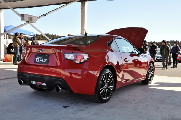 Name:  red-brz-6.jpg
Views: 18477
Size:  77.6 KB