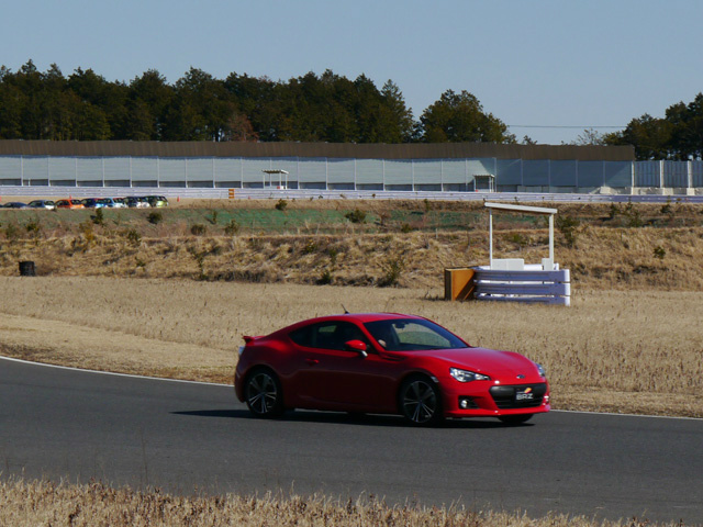 Name:  red-brz-13.jpg
Views: 18458
Size:  147.0 KB