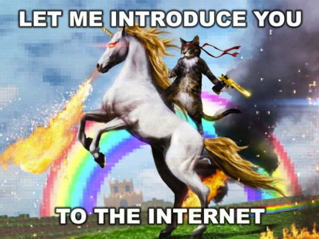 Name:  let-me-introduce-you-to-the-internet-meme.jpg
Views: 1169
Size:  98.8 KB