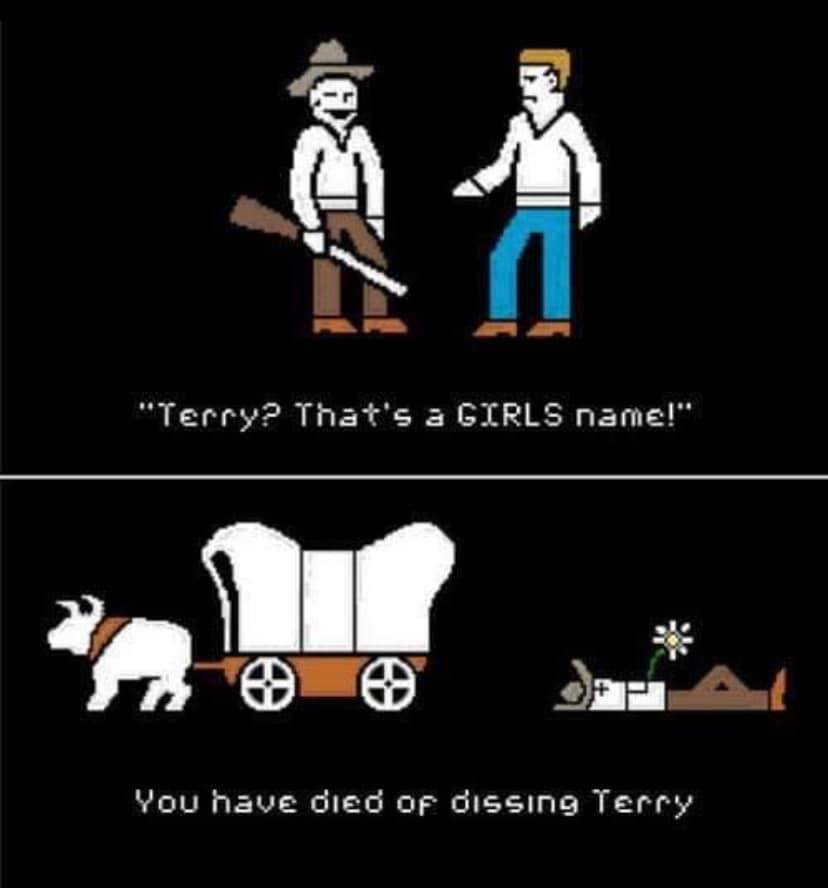 Name:  Dissingterry.jpg
Views: 237
Size:  36.4 KB