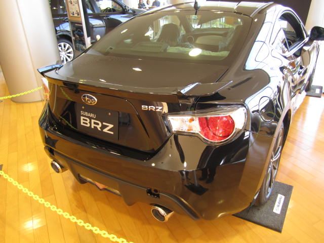 Name:  blackbrz2.jpg
Views: 28974
Size:  51.1 KB