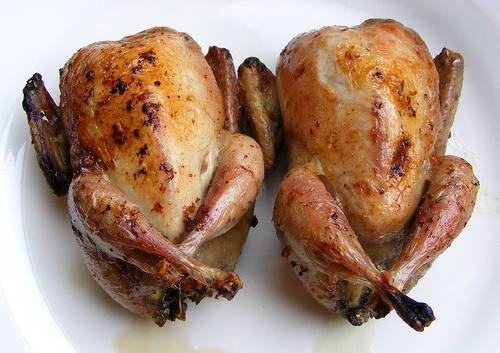 Name:  quail.jpg
Views: 487
Size:  128.2 KB