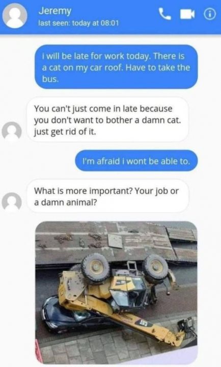 Name:  cat_on_car.jpg
Views: 308
Size:  48.9 KB