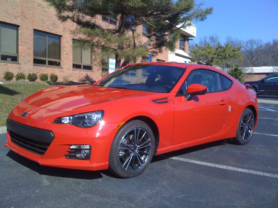 Name:  redbrz1.jpg
Views: 16382
Size:  134.1 KB