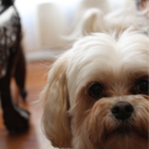 Raven Castro's Avatar