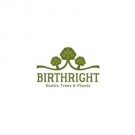 birthright's Avatar